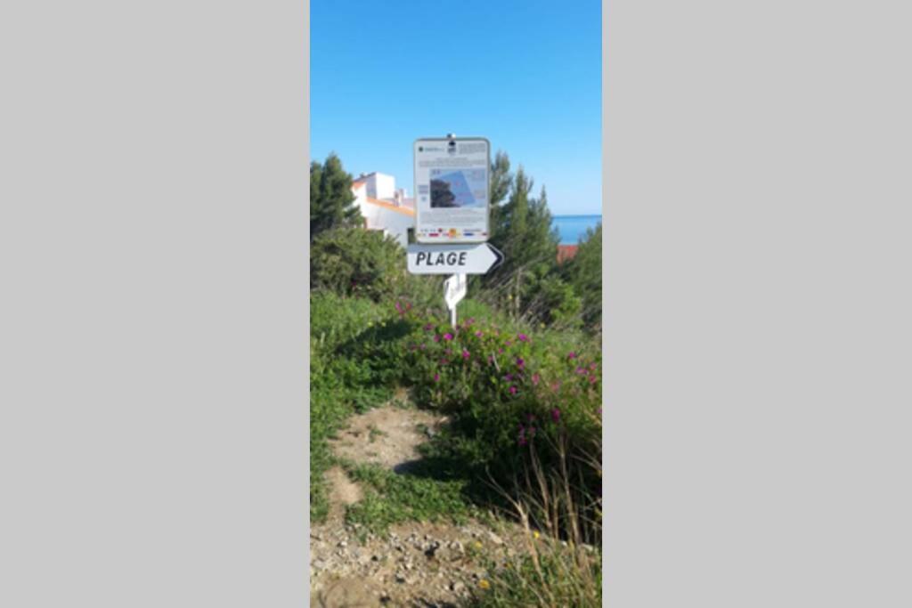 Appartement F2 Proche Des Criques Et Thalasso Banyuls-sur-Mer Exterior foto